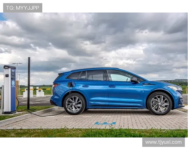 足球球星贴纸一盒的市场价格是多少如何选择最具性价比的产品